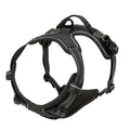Leather Dog Collar, Harness & Leash Set — Puppy Accessories for Small & Medium Dogs